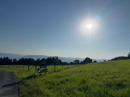 2025-Attersee (3)